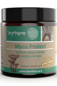 מיקו פרוטקט | מיקוליביה